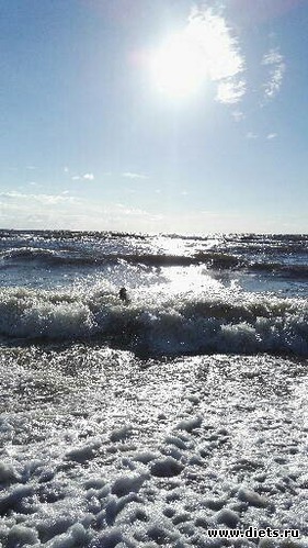 6 ����: ����