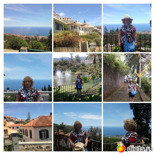 378 ����: ������� ���� 2016