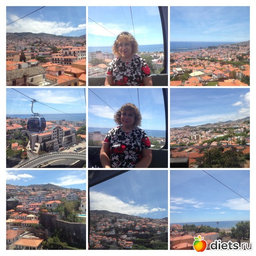 379 ����: ������� ���� 2016