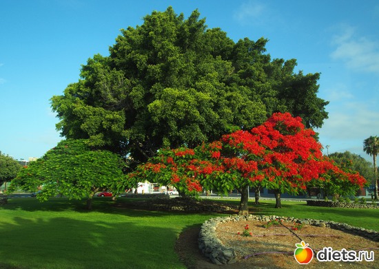 55 ����: Gran Canaria 20.06-01.07.2016