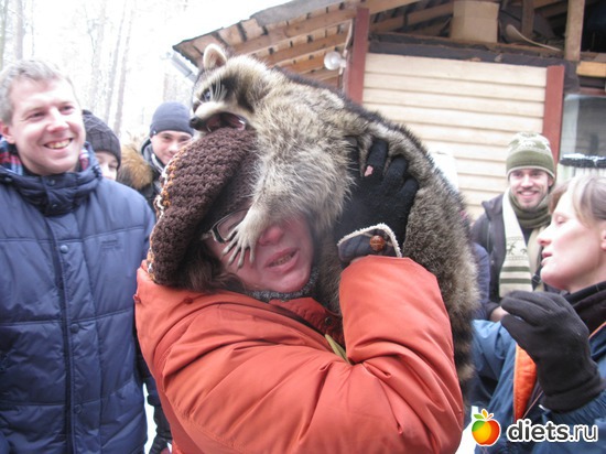 �����, ��� �, ����� �� ����. � ����� - ��� �����), ������: � �������� ��������  � ��-�������)