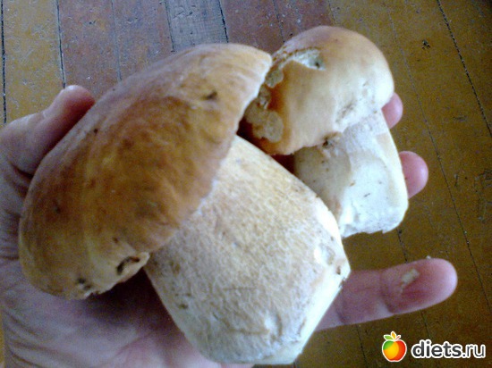 1 фото: это моя добыча)