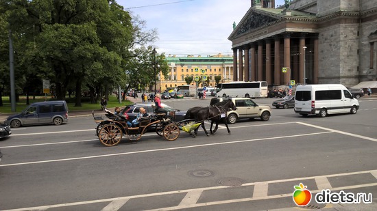 13 ����: ����� ����� �����������