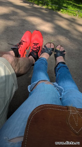 1 ����: ����� ����� �����������