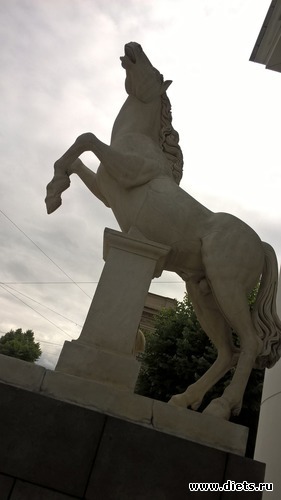 15 ����: ����� ����� �����������