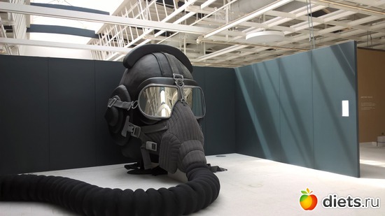 17 ����: ����� ����� �����������