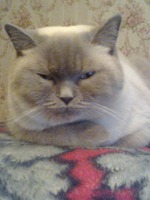 Заходим за мотивацией.