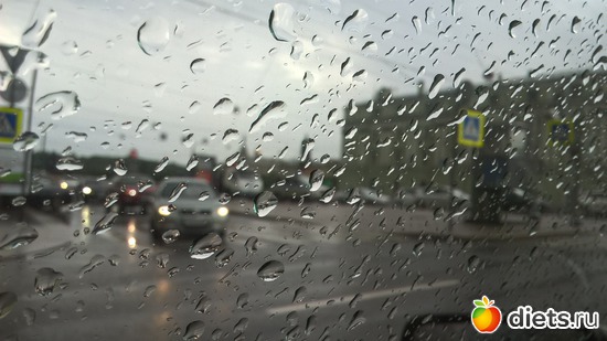 118 фото: Прогулка по Санкт-Петербургу