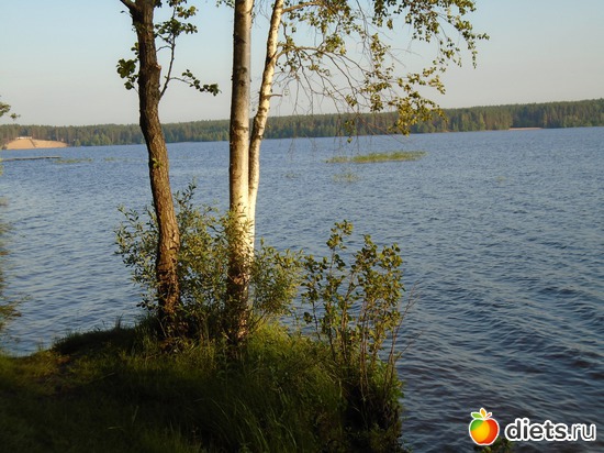 86 фото: Италия. июнь