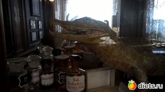 122 ����: �������� �� �����-����������