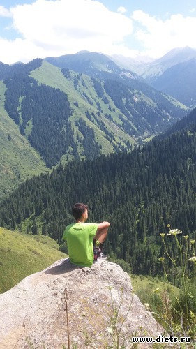 3 ����: ��������� � ��������� ������