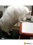 забавные истории.