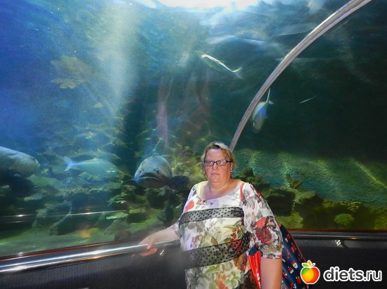 5 ����: ������,������� 2016,����