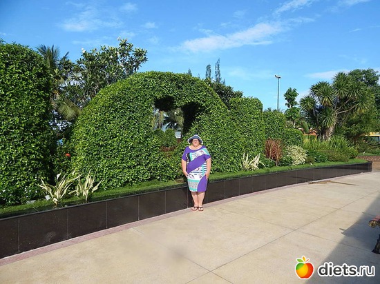 7 ����: ������,������� 2016,����