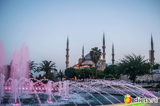 5 ����: ��������