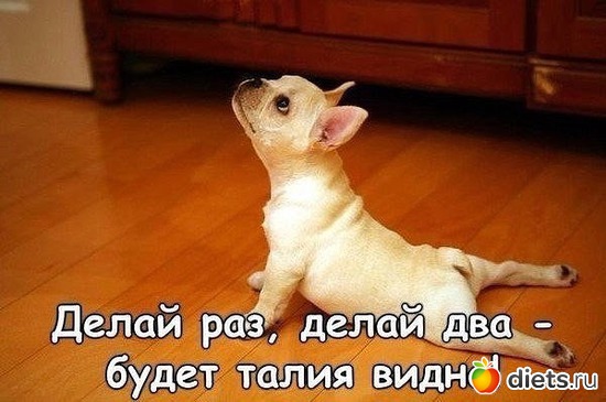 37 фото: Юмор))