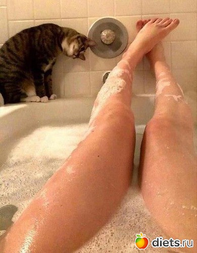 2 ����: ����