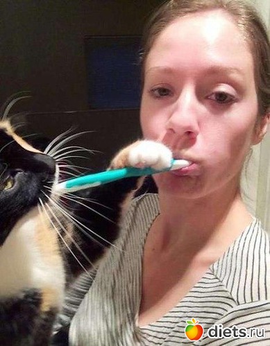 7 ����: ����