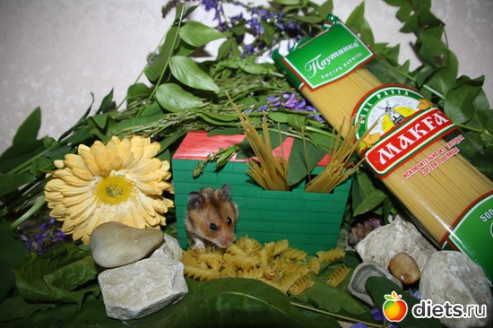 Хоме кризис нипочем - Хома МАКФУ тащит в дом