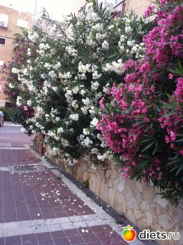 117 фото: Мой город