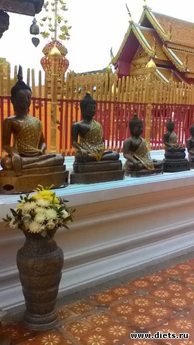 17 фото: Чианг Май-Паттайя-Бангкок