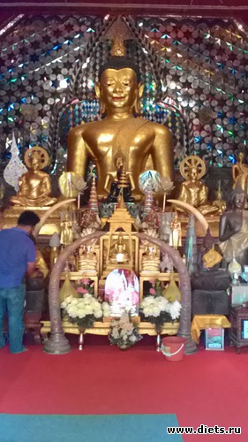 18 фото: Чианг Май-Паттайя-Бангкок