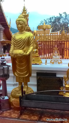 22 фото: Чианг Май-Паттайя-Бангкок