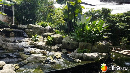 1 фото: Kuala Lumpur. Malaysia 2016