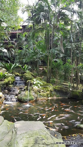 ������� � �������� �������, �� ���� �� �����  ���, ������: Kuala Lumpur. Malaysia 2016