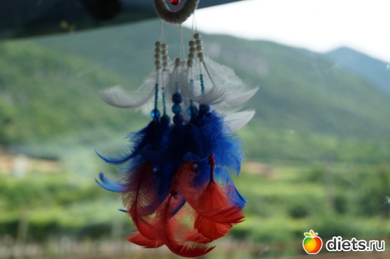 7 ����: italia//avstrija