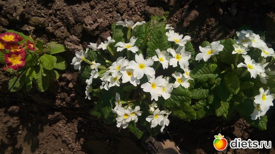 1 ����: ������ �����