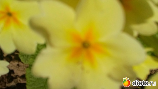 3 ����: ������ �����