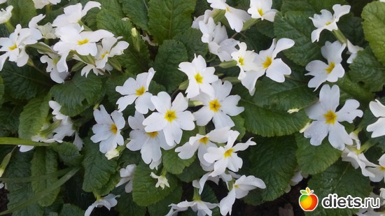 5 ����: ������ �����