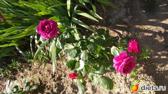 7 ����: ������ �����