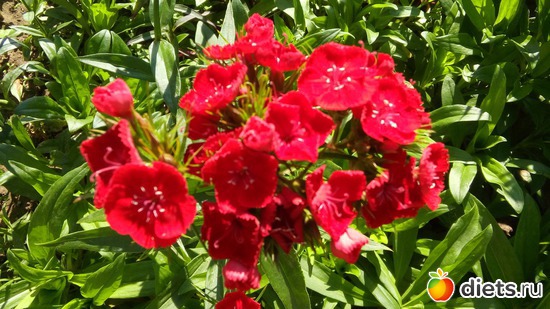 9 ����: ������ �����