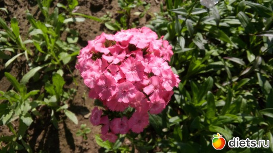 10 ����: ������ �����