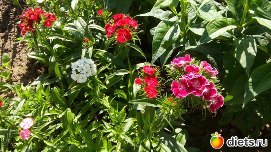 11 ����: ������ �����