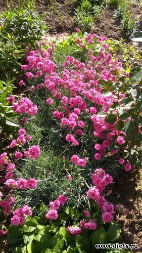 6 ����: ������ �����