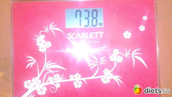 33 ����: ���� �����