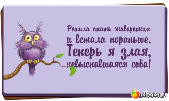 2 ����: �����������