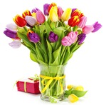 Самым прекрасным девчонкам посвящается..