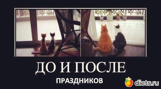2 ����: ���������)