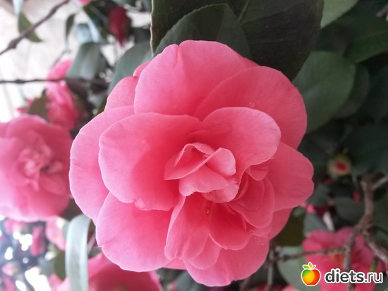 �������� �������, ������: ����� � ���������!