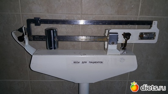6 ������, ������: ����