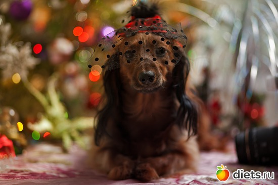 8 фото: Монтана.