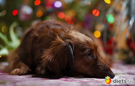 9 фото: Монтана.