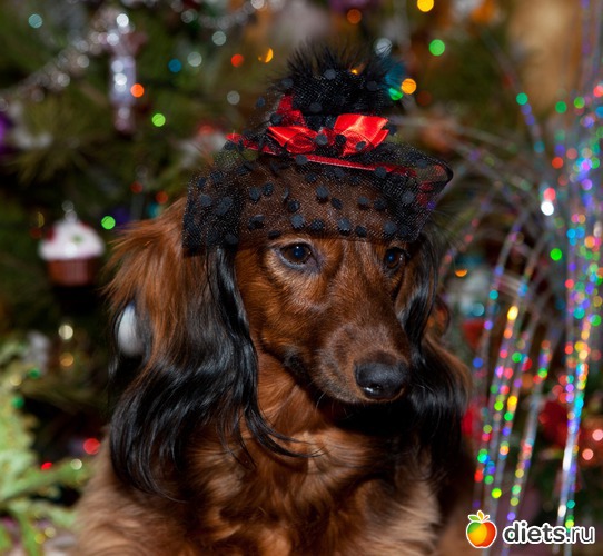 10 фото: Монтана.