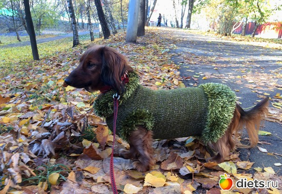 4 фото: Монтана.