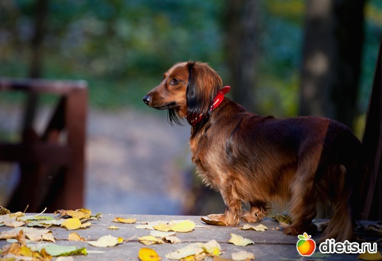 6 фото: Монтана.