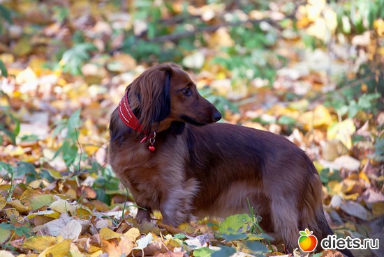 7 фото: Монтана.